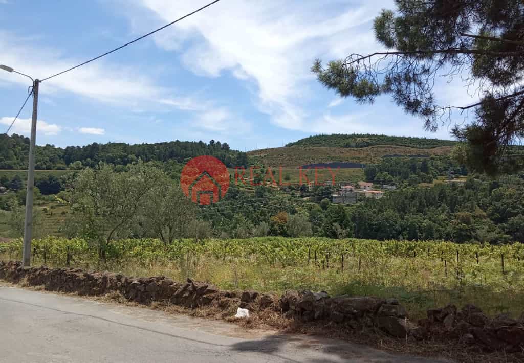 Terra no Granja, Vila Real 10007845