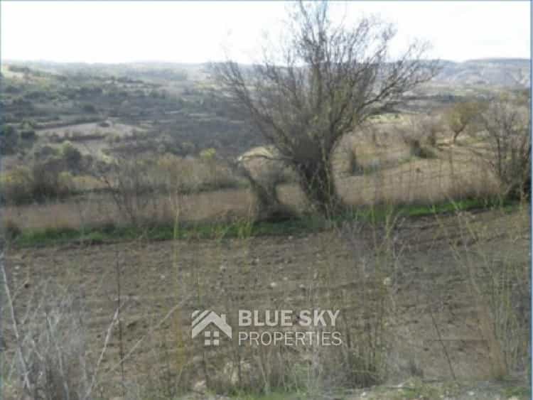 Land in Drimou, Paphos 10011468