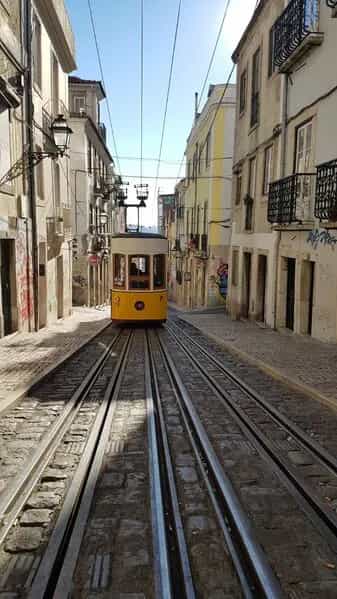 Inny w Lizbona, Lizbona 10012640