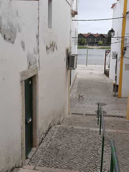 Muu sisään Alcacer do Sal, Setubal 10012651