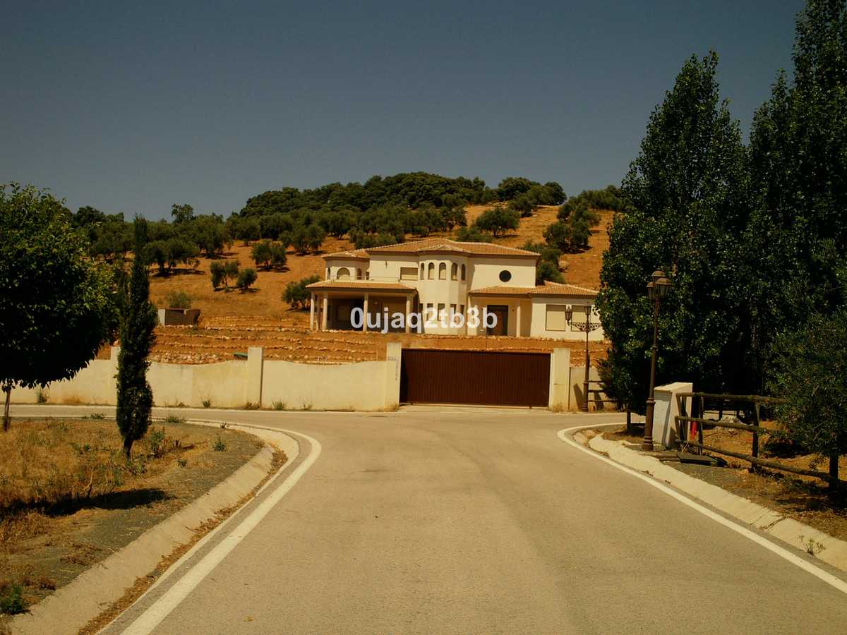 Land in Archidona, Andalusia 10013701