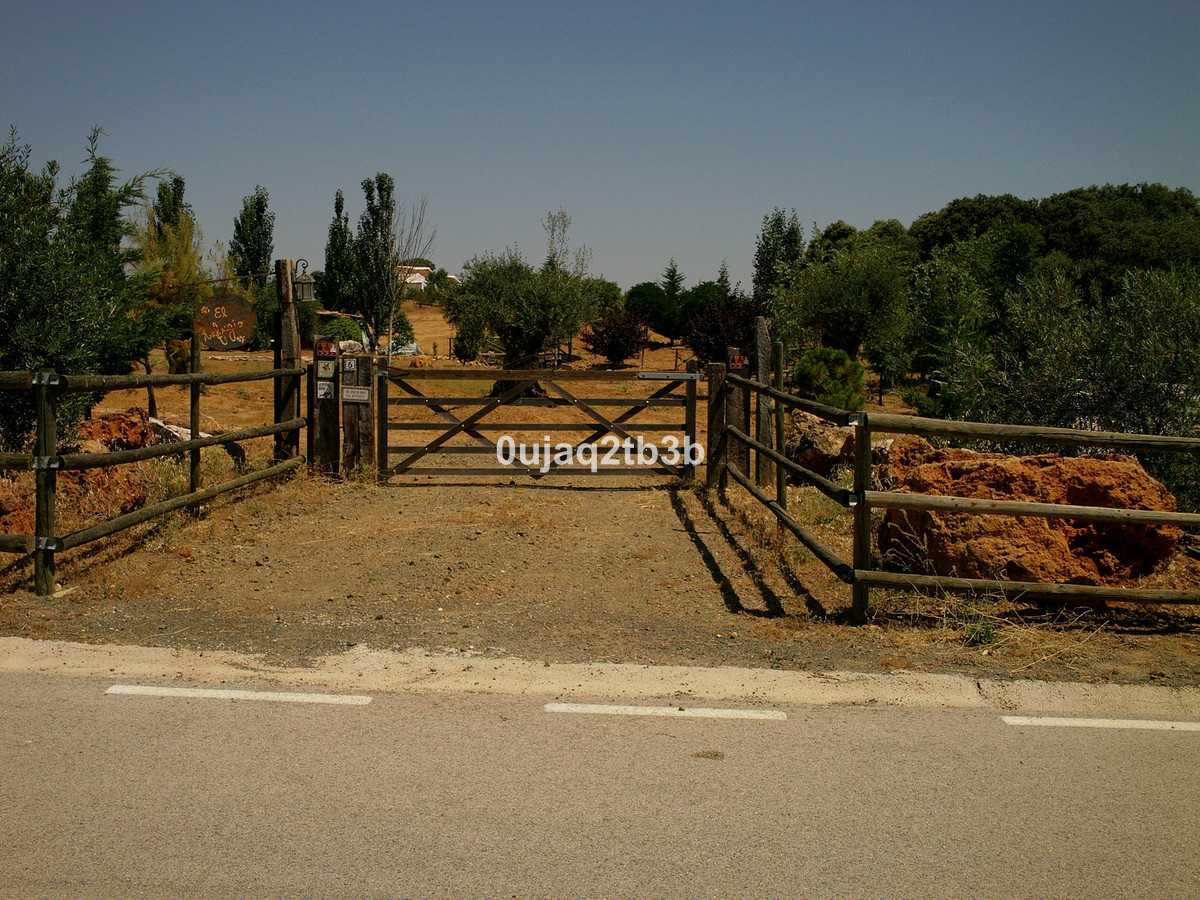 Land in Archidona, Andalusia 10013701