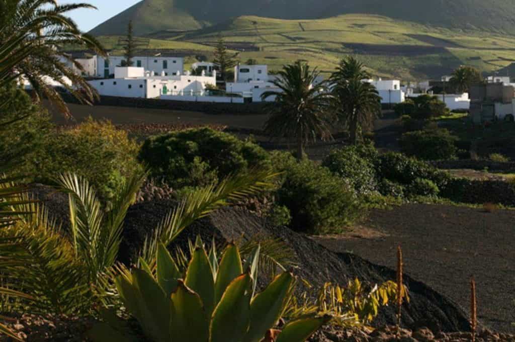 House in Teguise,  10015754