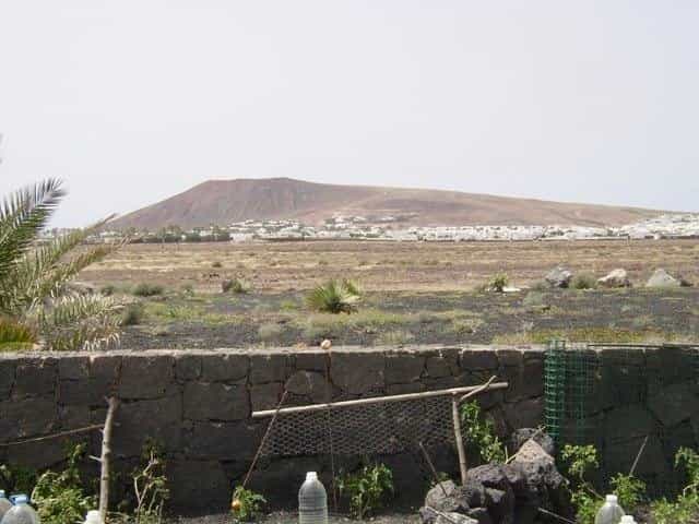 Land in Uga, Canary Islands 10016805