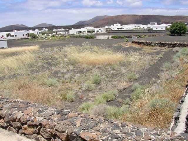 Tierra en uga, Islas Canarias 10016805