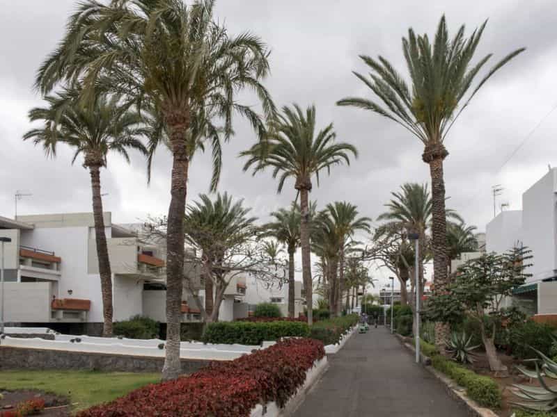 Condominium dans Costa Del Silencio, Primavera 10019591