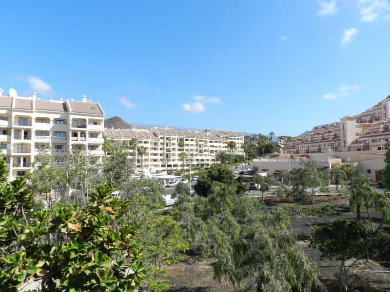 Condominium dans Los Cristianos, les îles Canaries 10019631