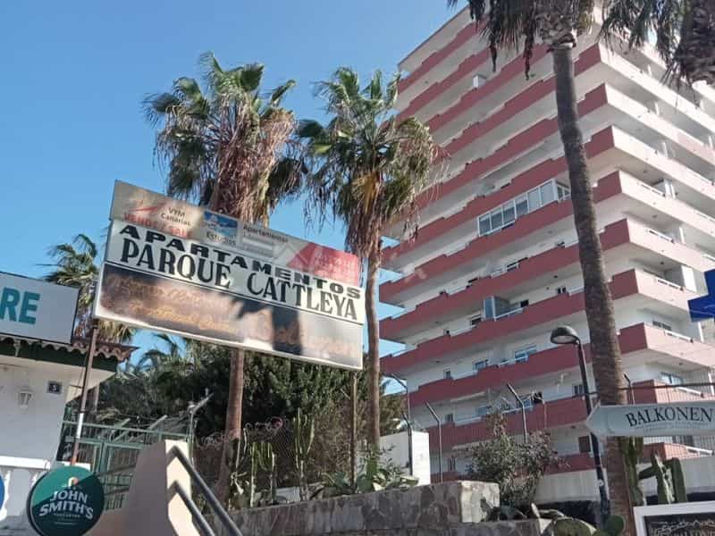 公寓 在 Playa De Las Americas, Parque Cattleya 10020037