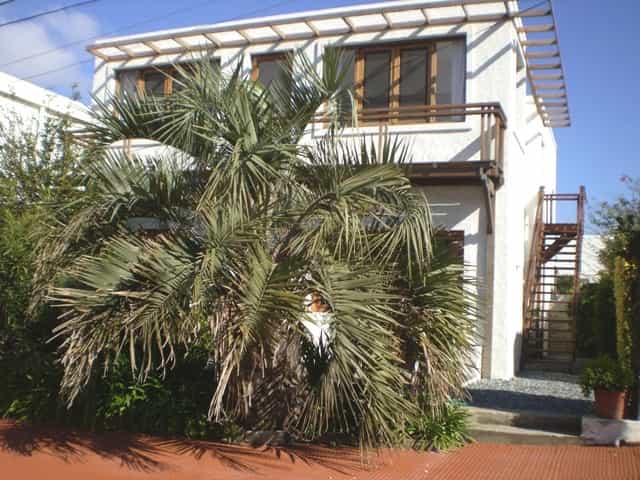 Eigentumswohnung im Punta del Este, Maldonado 10022499