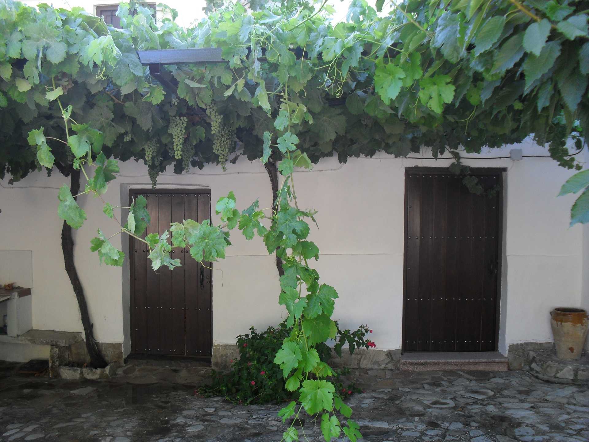 Dom w Montefrio, Granada 10023131