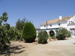 House in Zagra, Andalusia 10023722
