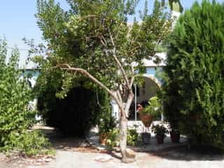 Rumah di Zagra, Andalusia 10023722