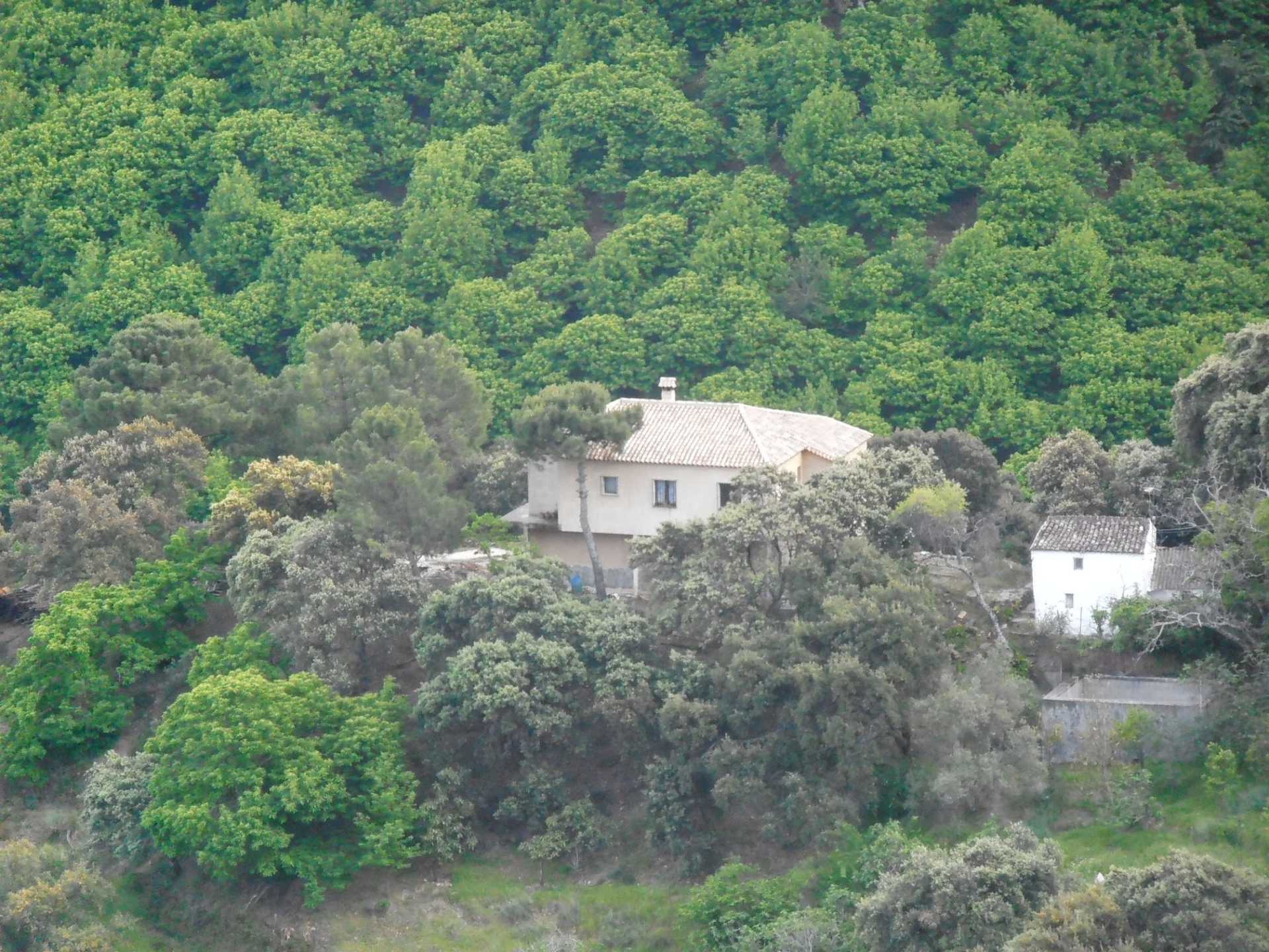 House in Algatocin, Malaga 10023836
