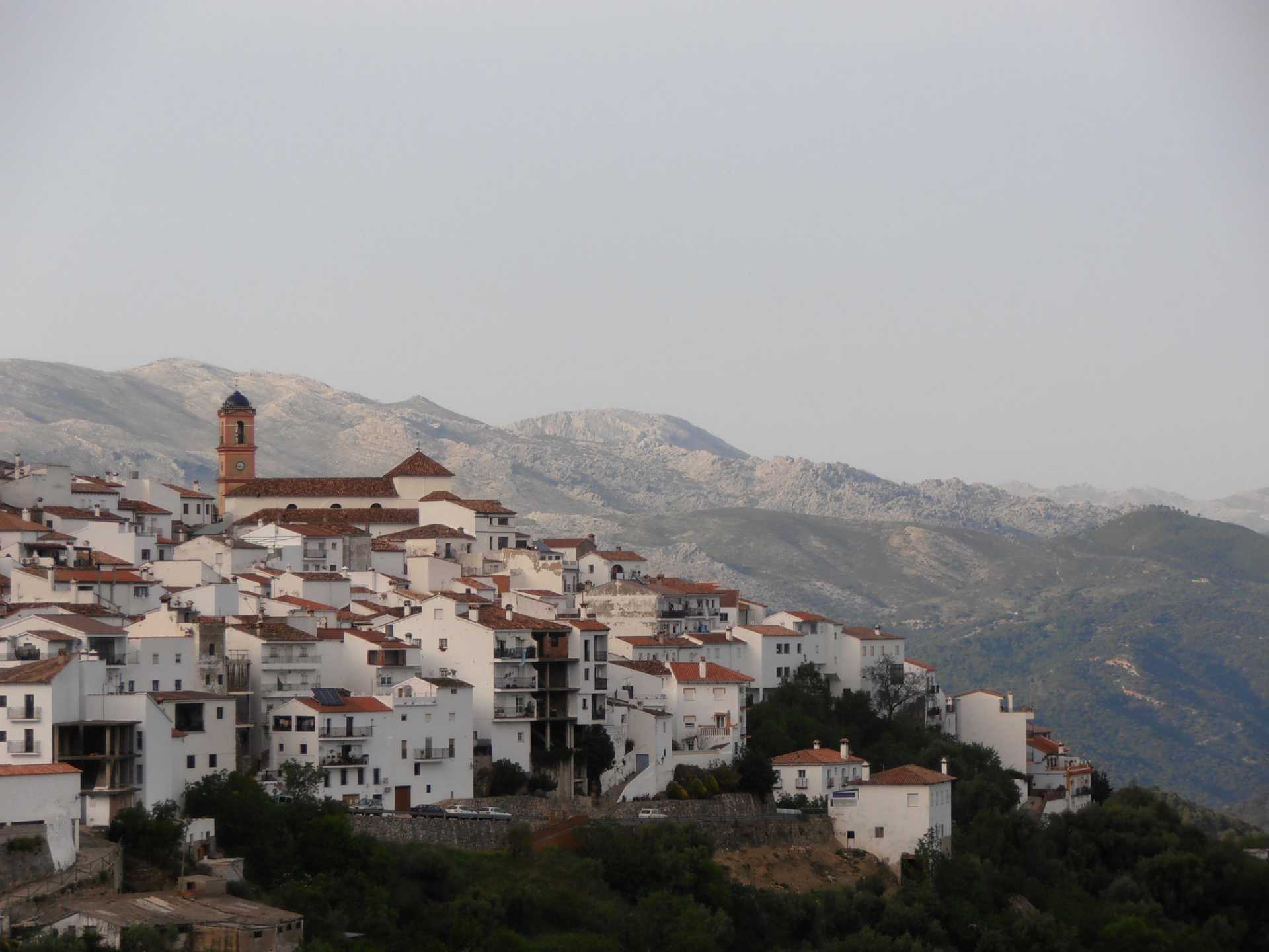 House in Algatocin, Andalusia 10023896