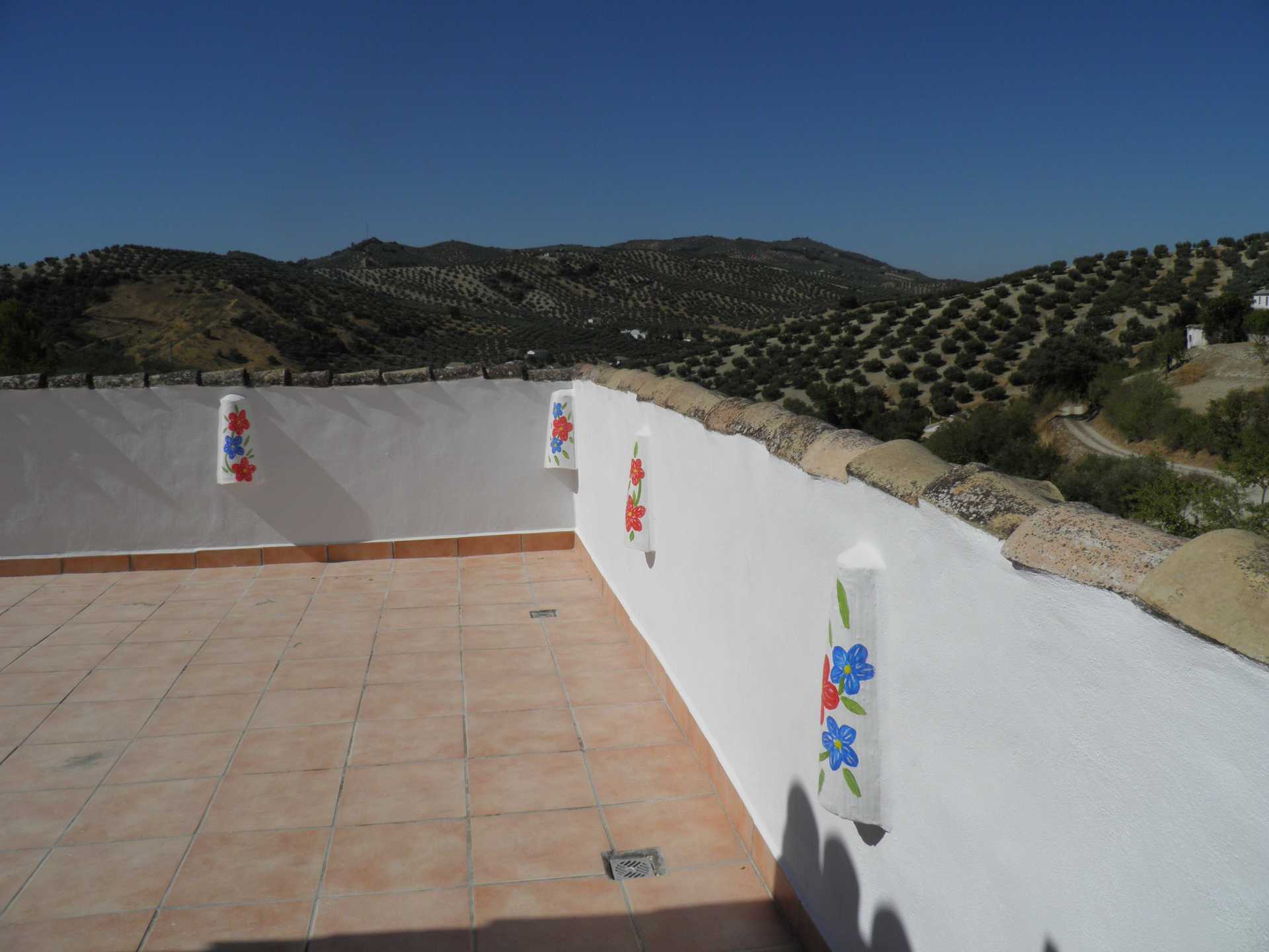 House in Algarinejo, Andalusia 10024008