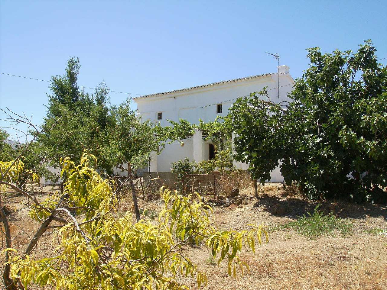 Dom w Alfarnatejo, Andaluzja 10024062