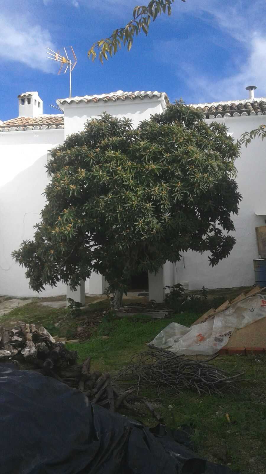 Hus i Iznajar, Andalusia 10024063