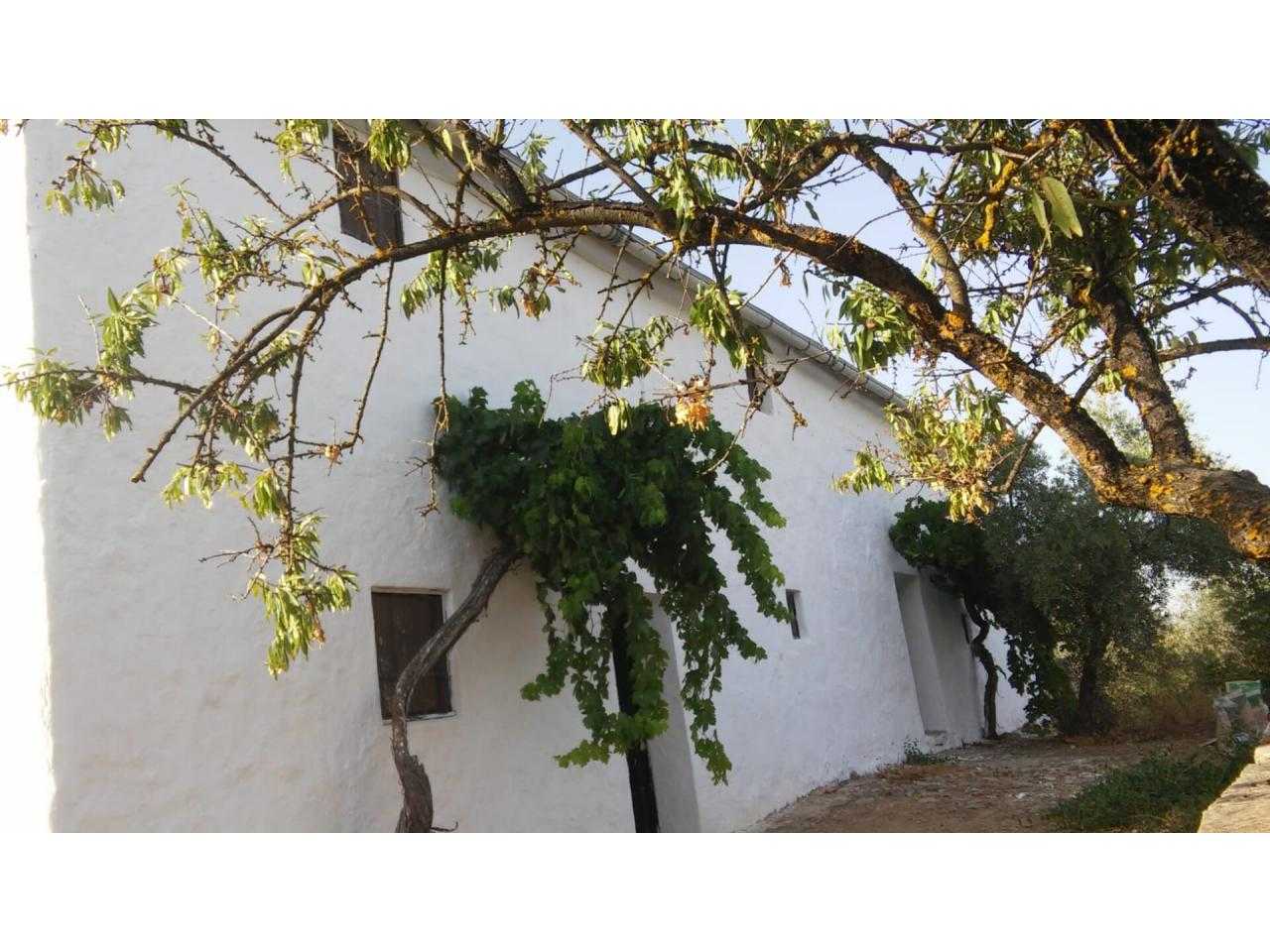 Hus i Zagra, Andalusia 10024103