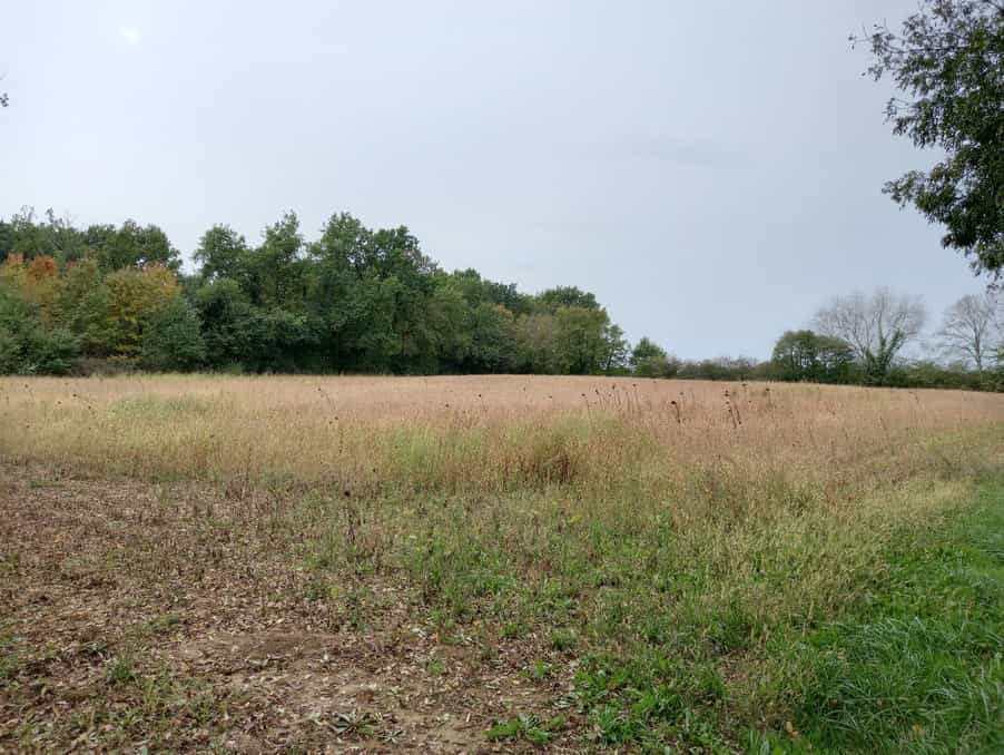 Land in Villereal, Nouvelle-Aquitaine 10024497