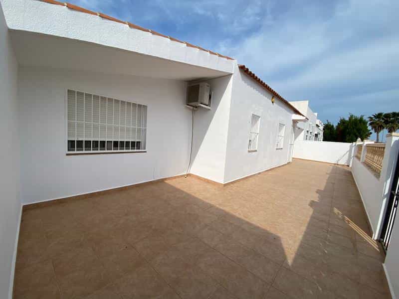 House in Algorfa, Valencia 10024670