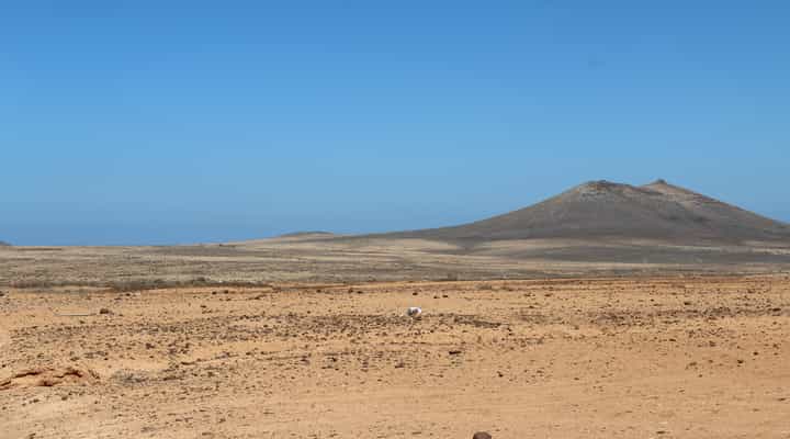 Γη σε Triquivijate, Canary Islands 10028419