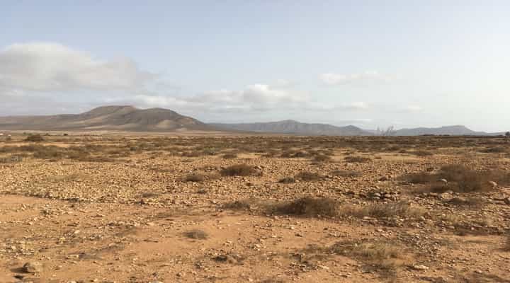 Tanah di Triquivijate, Canary Islands 10028422