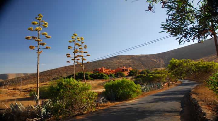 Ejerlejlighed i Betancuria, Canary Islands 10028456