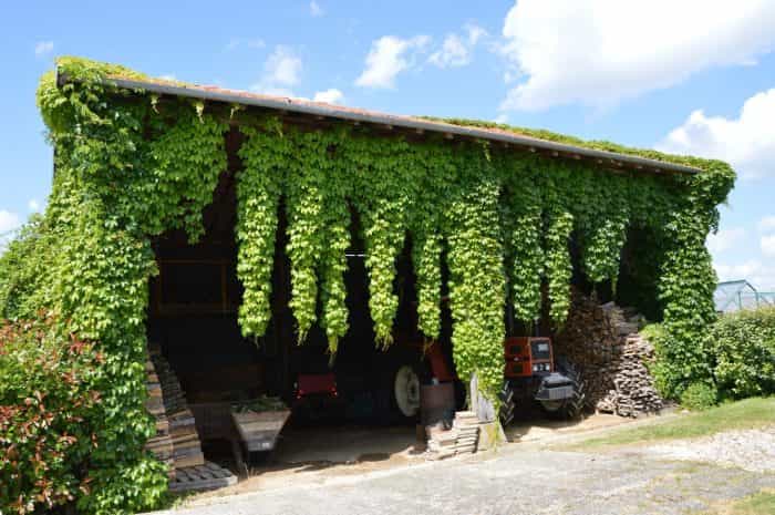 بيت في Boulogne-sur-Gesse, Midi-Pyrenees 10029154