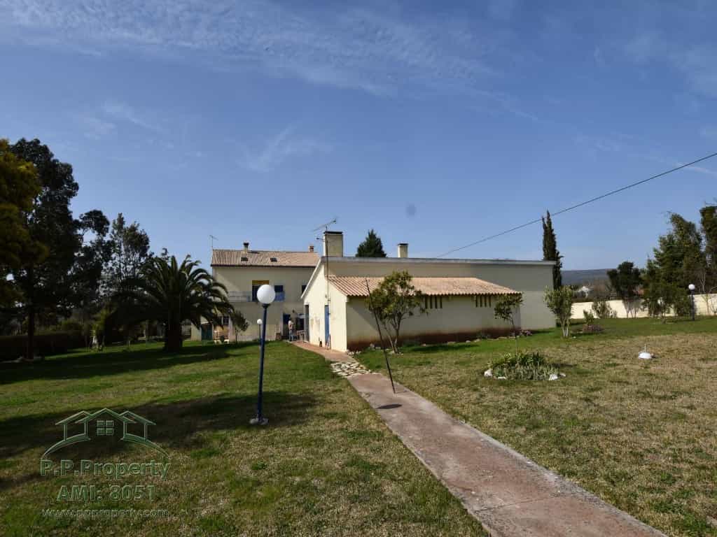 House in Alvaiazere, Leiria 10029264