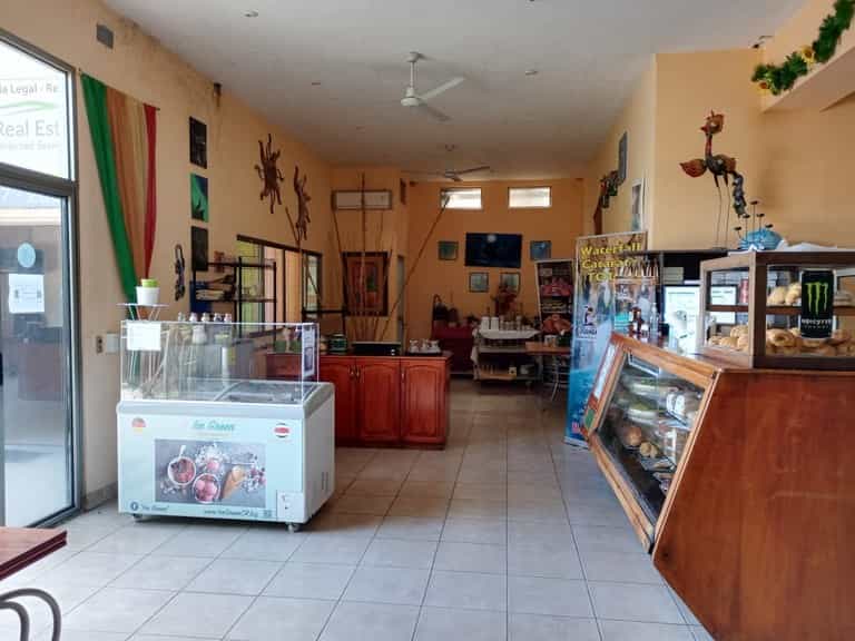 Pengecer di Komunitas, Guanacaste 10030839