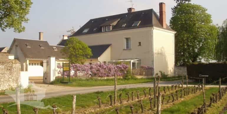 بيت في Bourgeuil, Centre 10032135