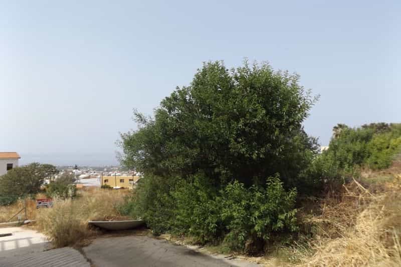Land in Peyia, Paphos 10033249