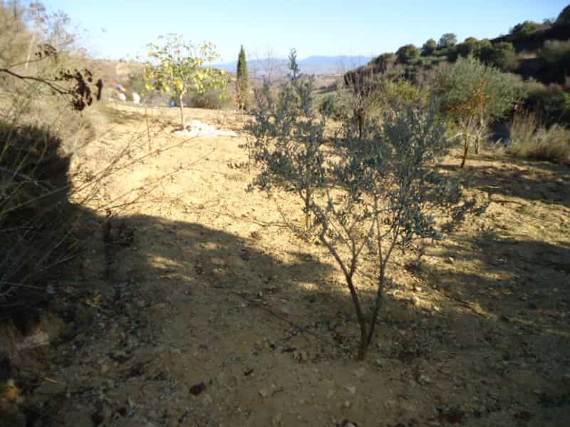 Tanah dalam Mesogi, Pafos 10033267