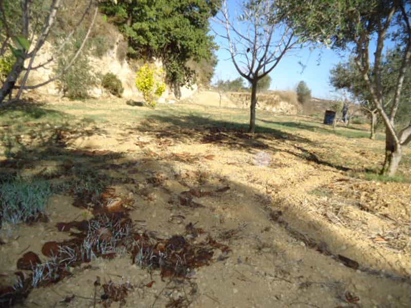 Land in Tsada, Paphos 10033267