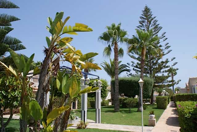 Συγκυριαρχία σε Playa Flamenca, Alicante 10033458