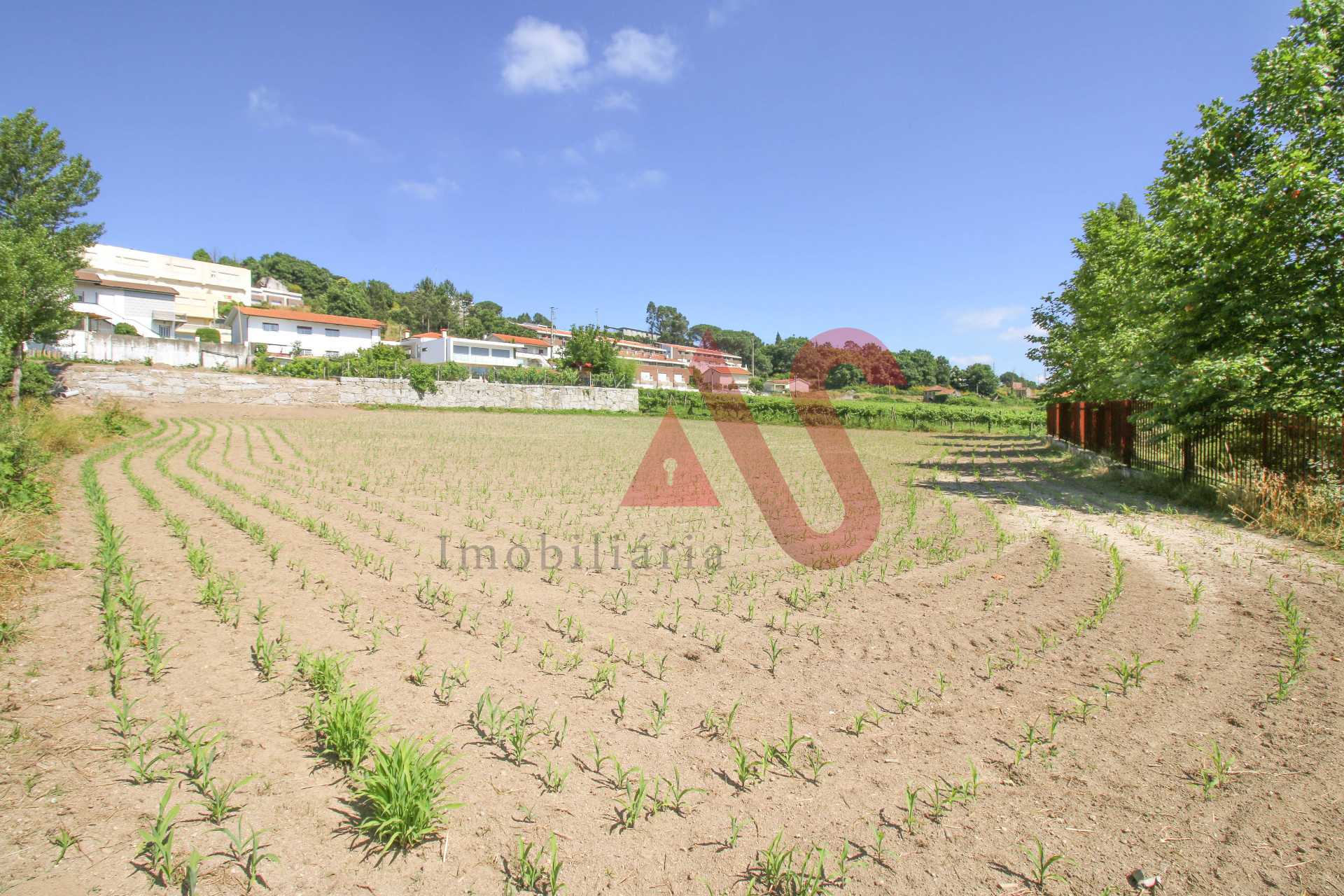 Tanah dalam VIzela, Braga 10034151