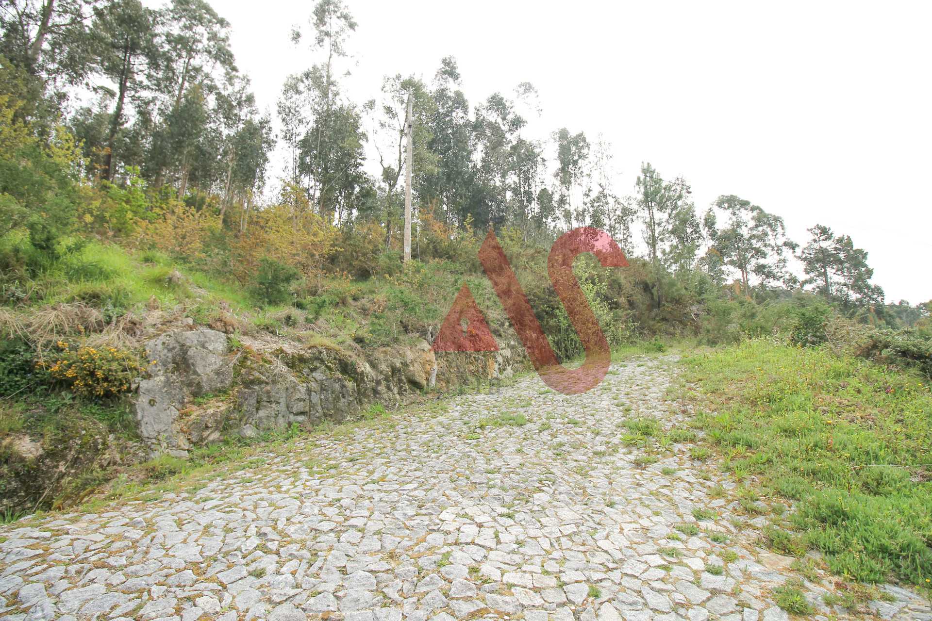 Tanah dalam Caldas de Vizela, Braga 10034158