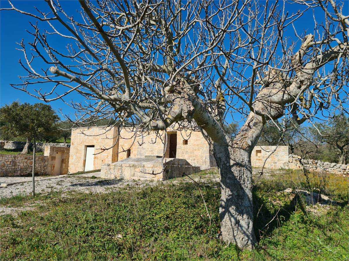 Hus i Alberobello,  10037988