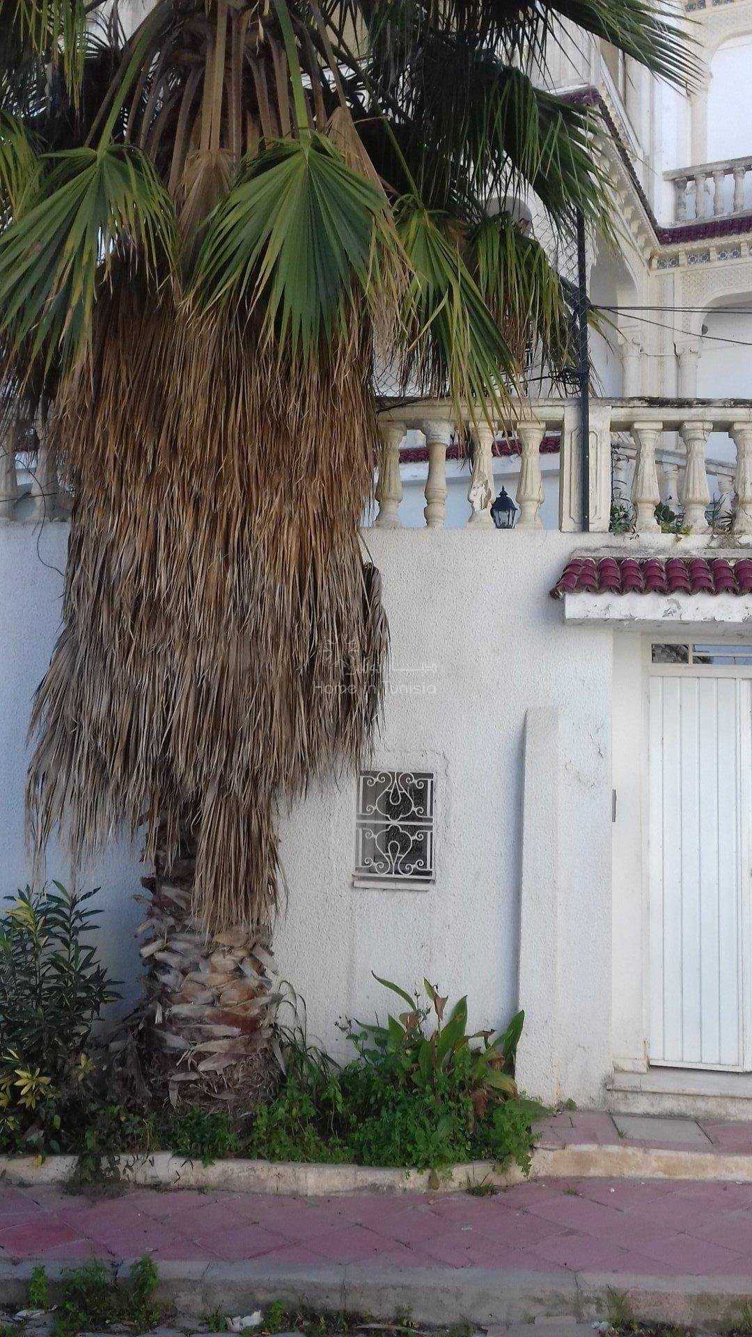 House in Abou El Kacem Chebbi,  10040153