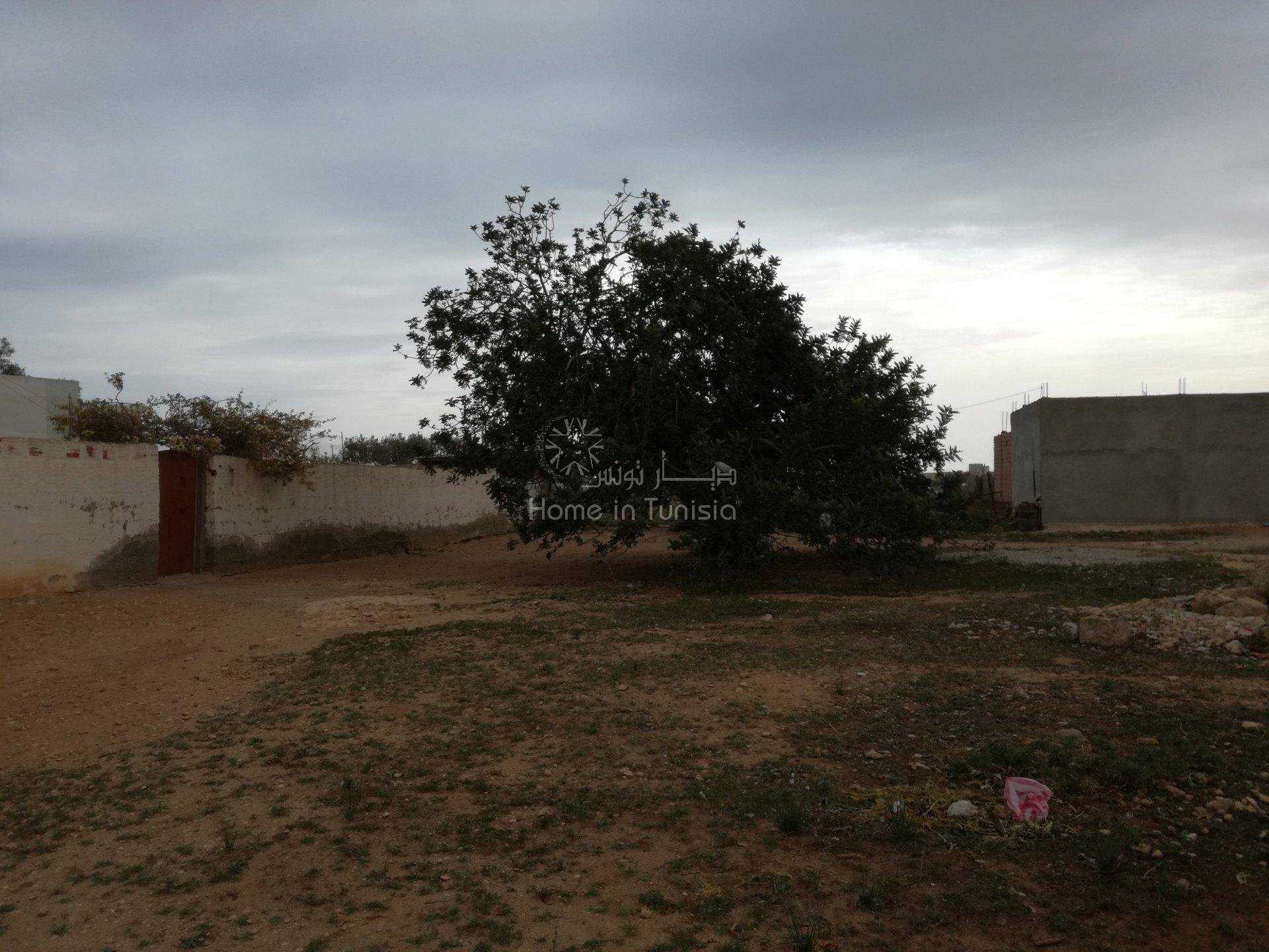 الأرض في Hammam Sousse,  10040252