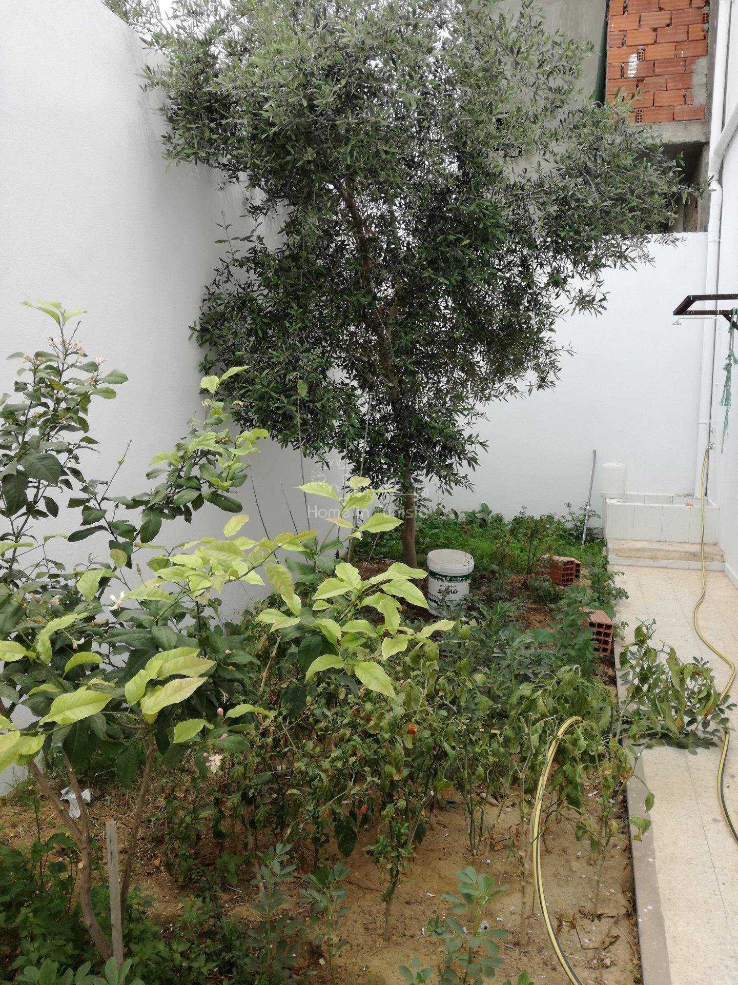 House in Zaouiet Sousse,  10040297
