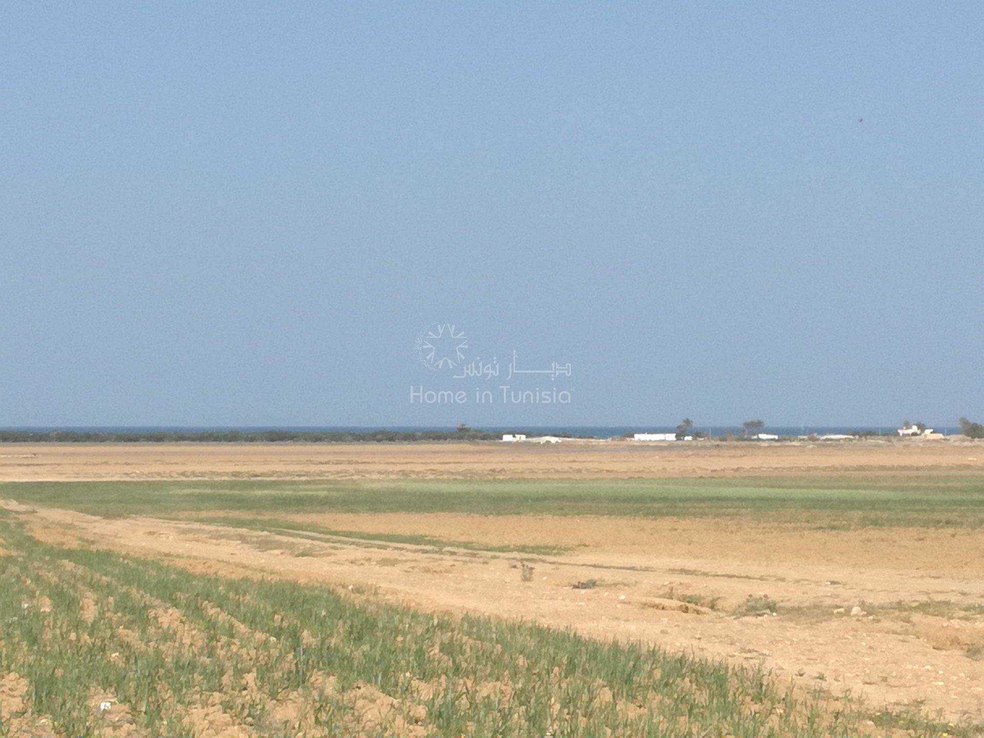 Tanah dalam Harqalah, Sousse 10040352
