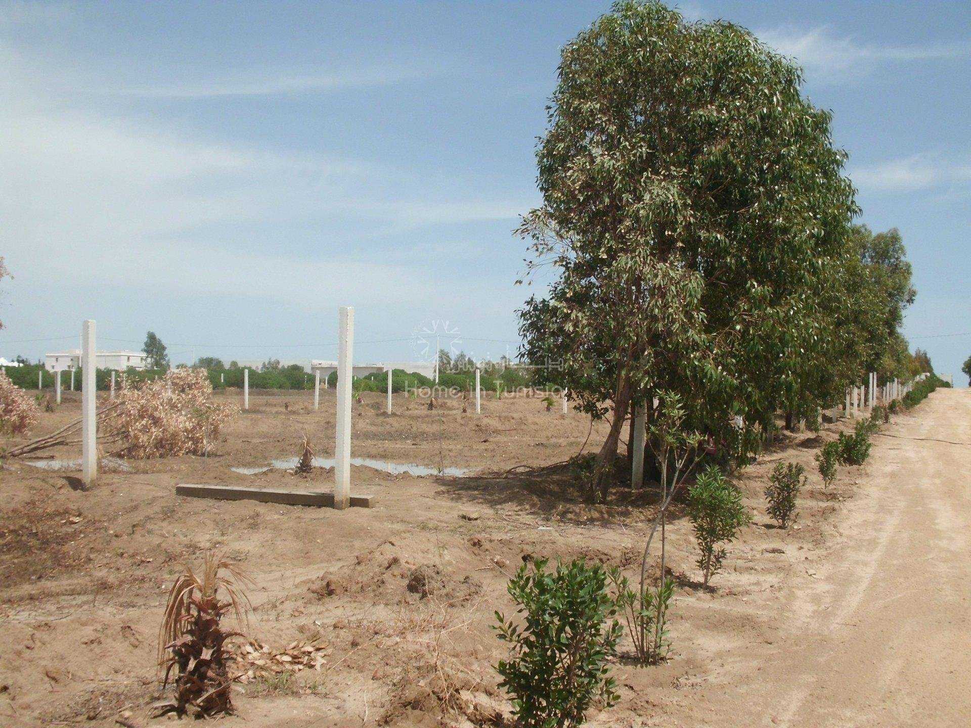 Tanah di Harqalah, Sousse 10040524