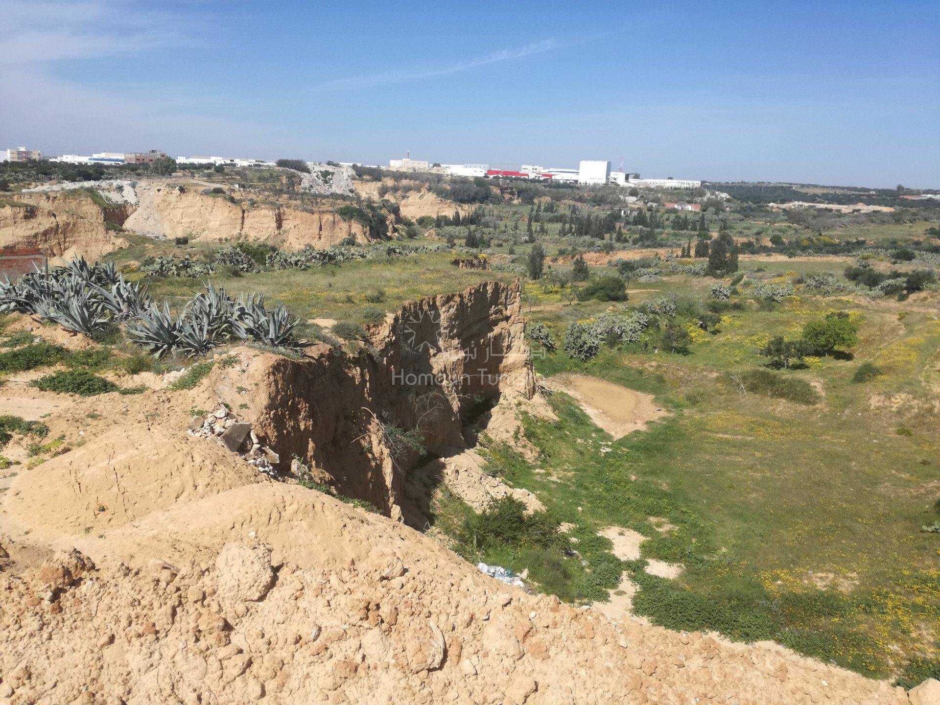 Land in Kelaa Kebira, Sousse 10040526