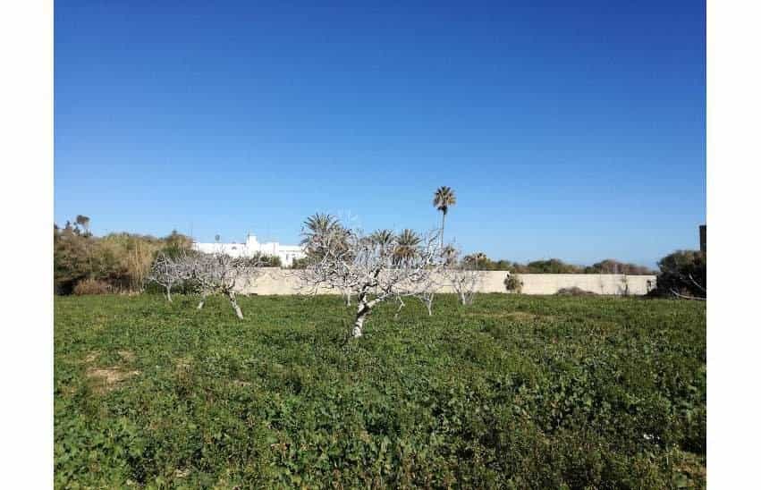 Land in Akouda, Sousse 10040551