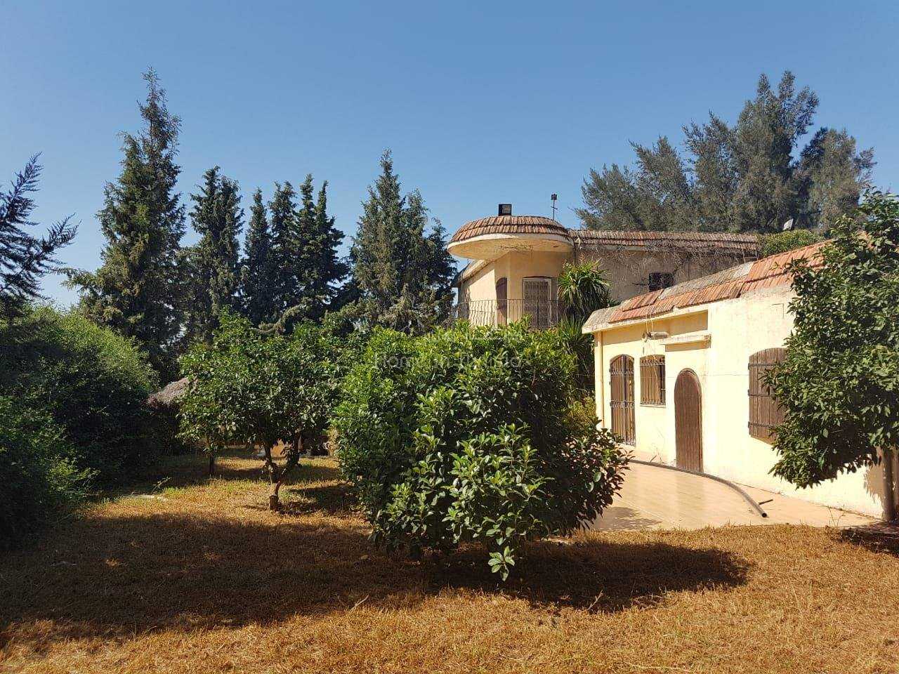 House in Hammam-Lif, Ben Arous 10040579