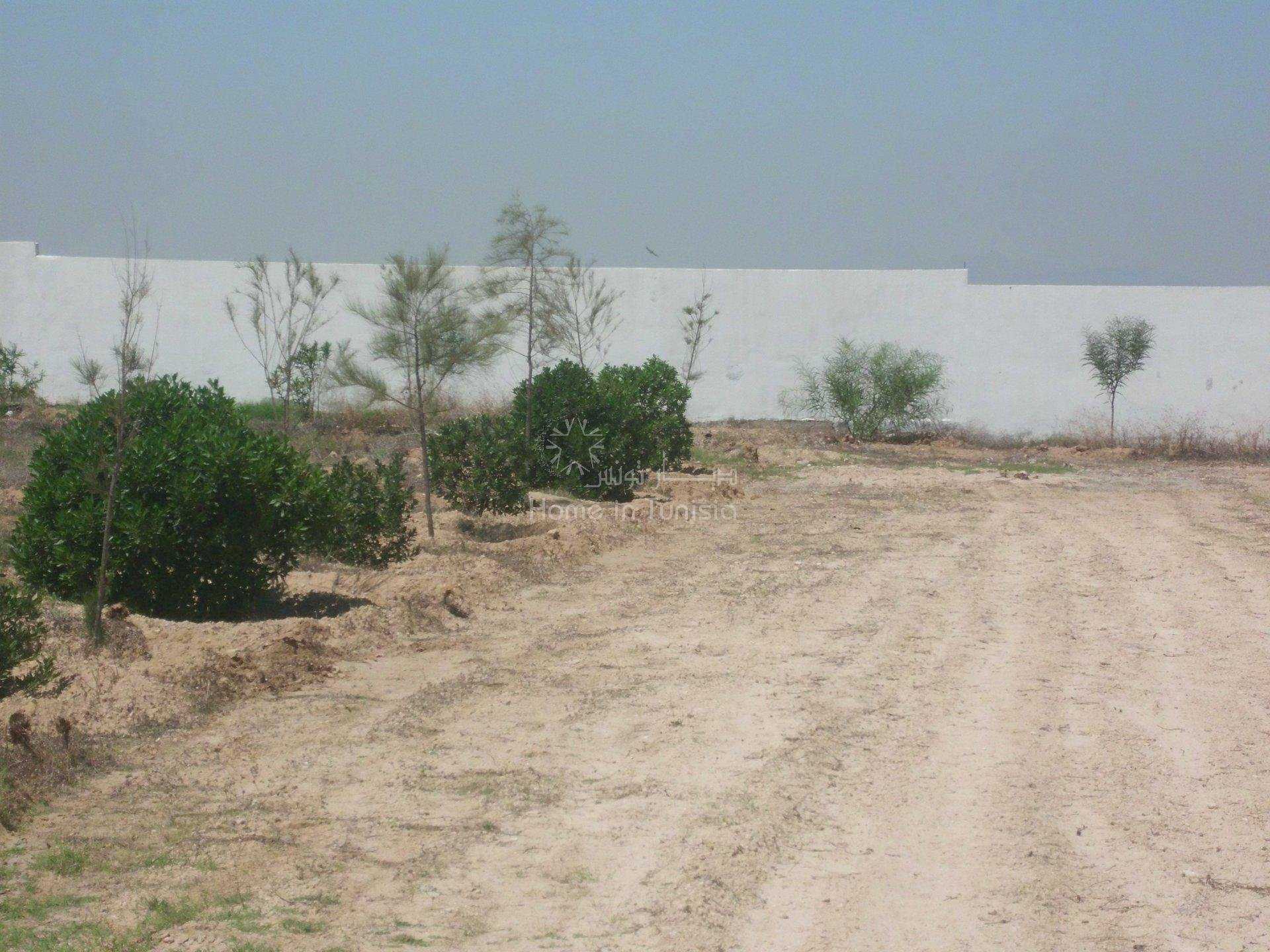 Tanah dalam Harqalah, Sousse 10040688