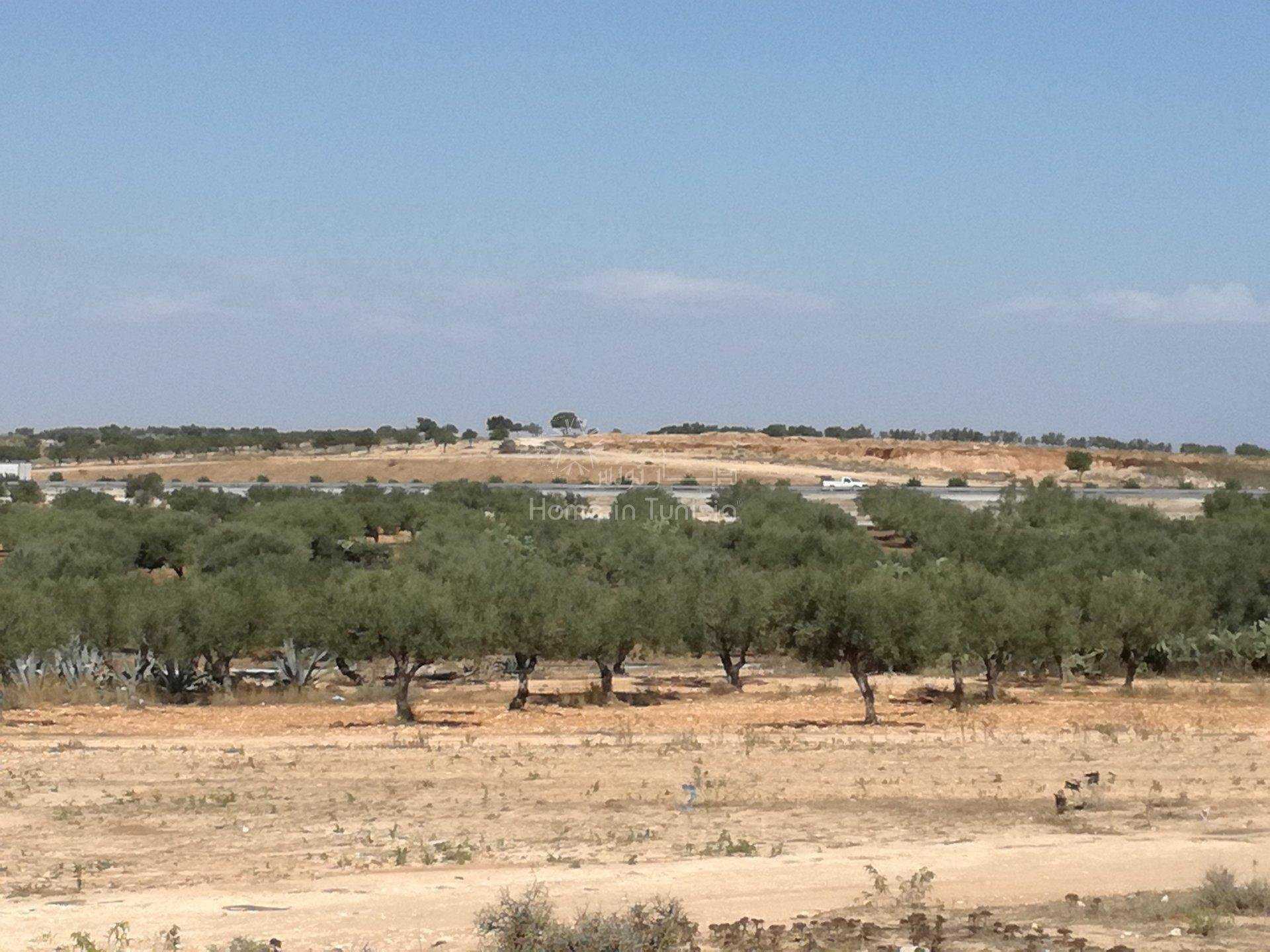 Land in Sidi Bou Ali, Sousse 10040732