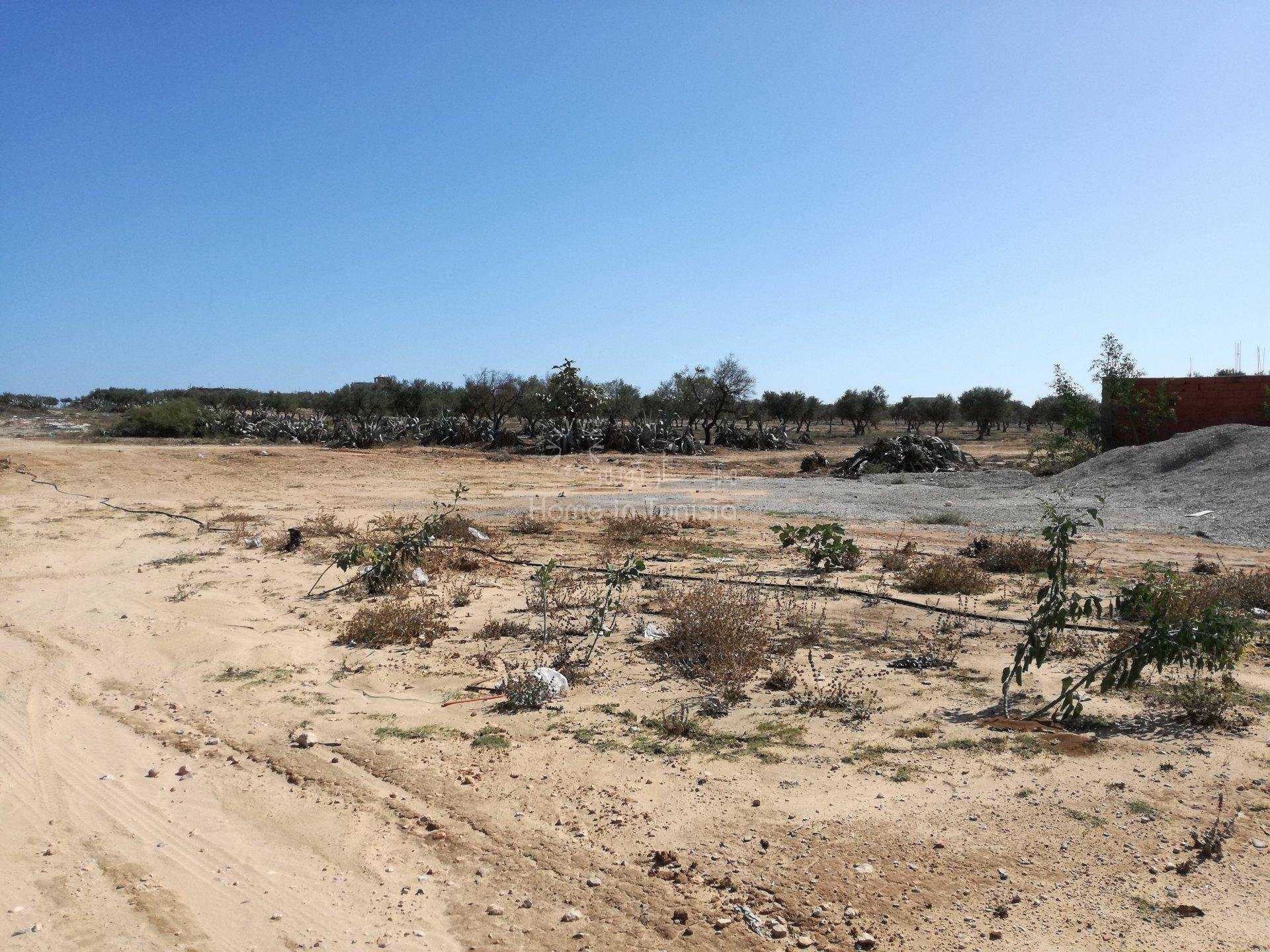 Tanah di Sidi Bou Ali, Sousse 10040732