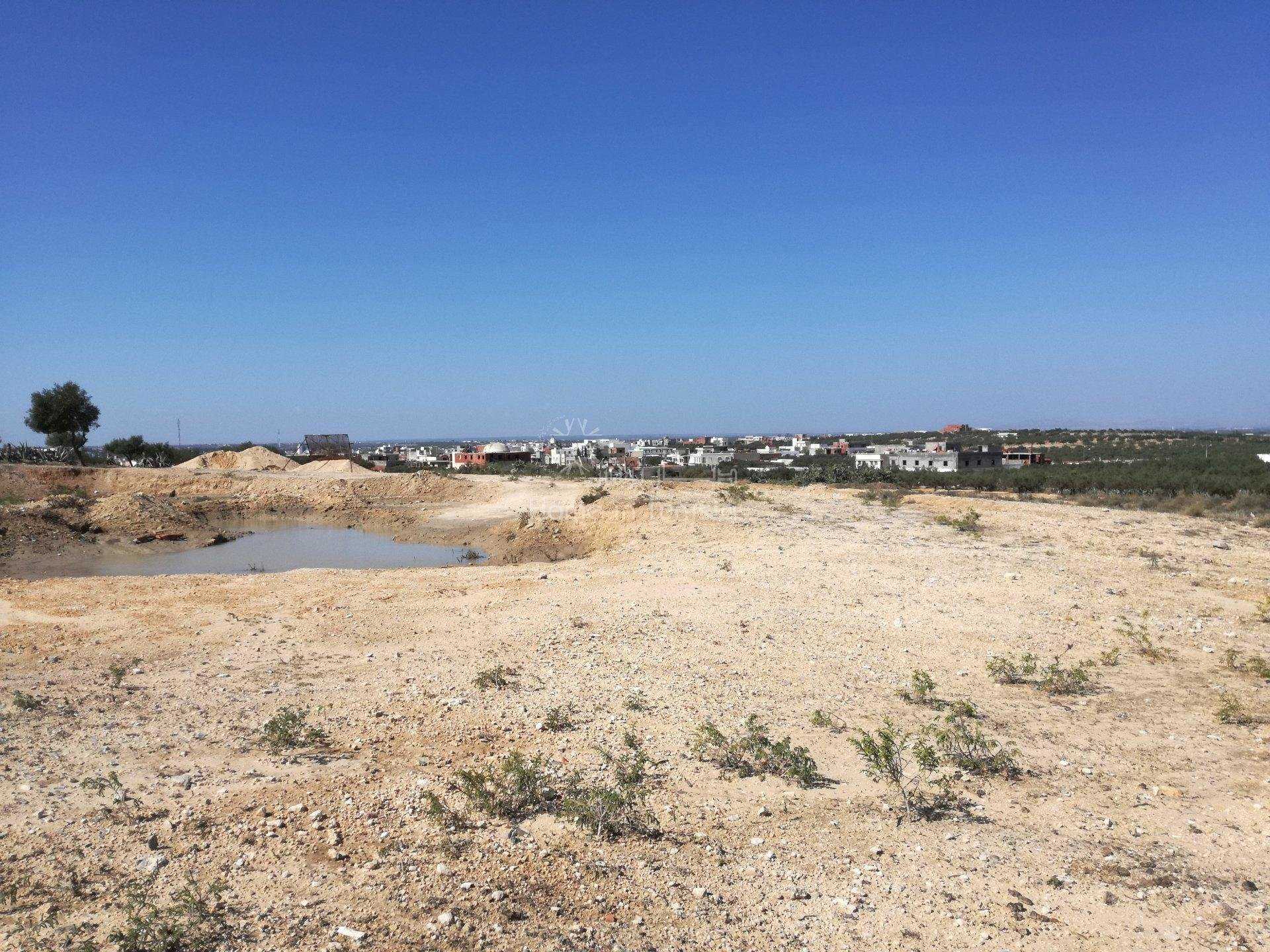 Land i Sidi Bou Ali, Sousse 10040741
